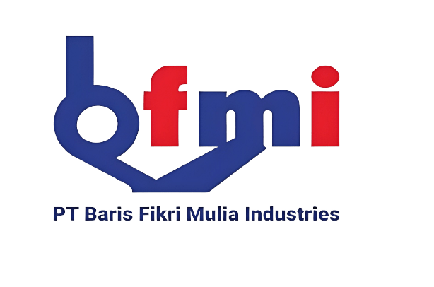 Logo BFMI